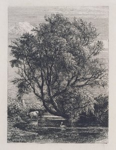 De wilg door Samuel Palmer